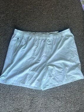 DSG Men's Light Blue Athletic Shorts